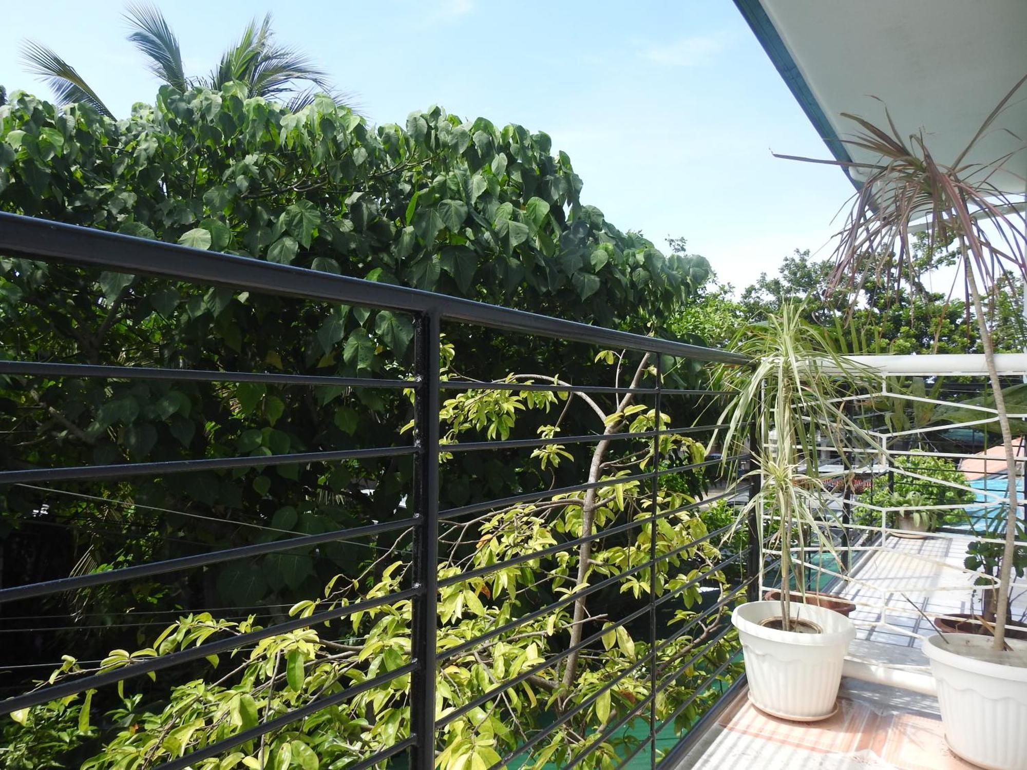 Pacifico Seaside Lodge 몰볼 외부 사진